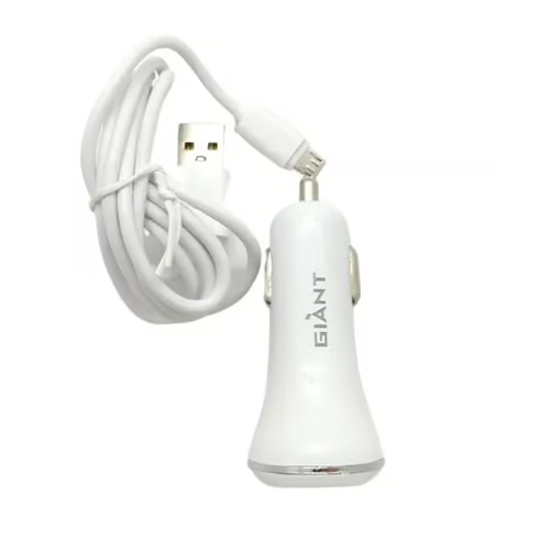 Gaint car charger type-c